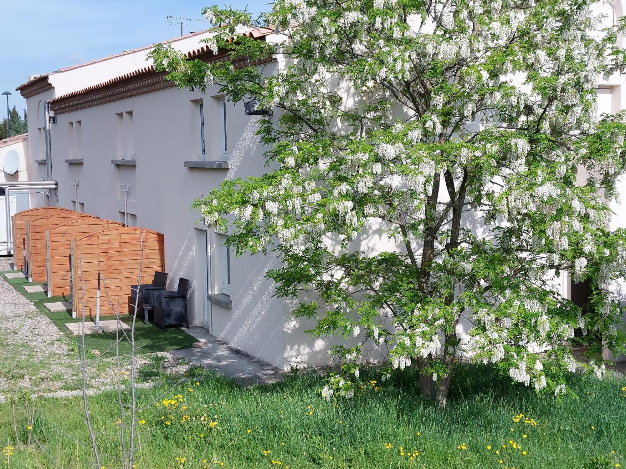 Brit Bosquet Cite Carcassonne